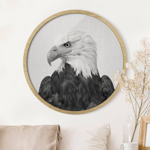 Framed prints round Sea Eagle Socrates Black And White