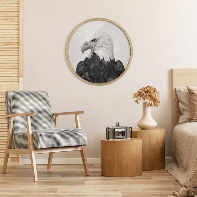 Circular framed print - Sea Eagle Socrates Black And White