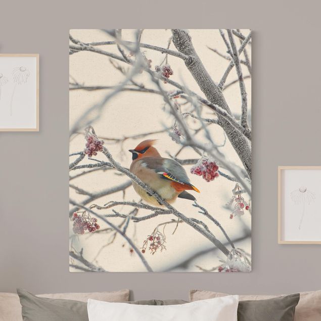 Natural canvas print - Bohemian Waxwing In A Tree - Portrait format 3:4