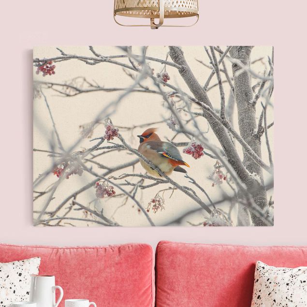 Natural canvas print - Bohemian Waxwing In A Tree - Landscape format 4:3