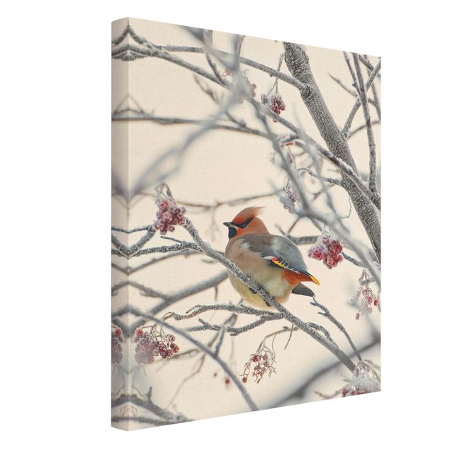 Natural canvas print - Bohemian Waxwing In A Tree - Portrait format 3:4