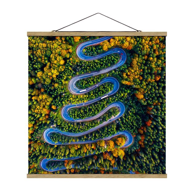 Fabric print with poster hangers - Serpentine In The Transylvanian Woods - Square 1:1