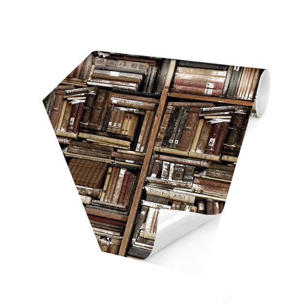 Self-adhesive hexagonal pattern wallpaper - Shabby Wall Of Books