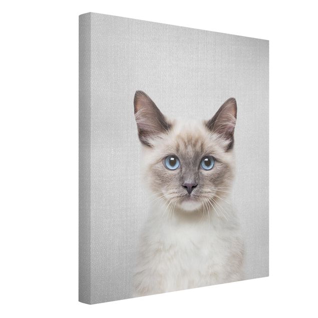 Canvas print - Siamese Cat Sibylle - Portrait format 3:4