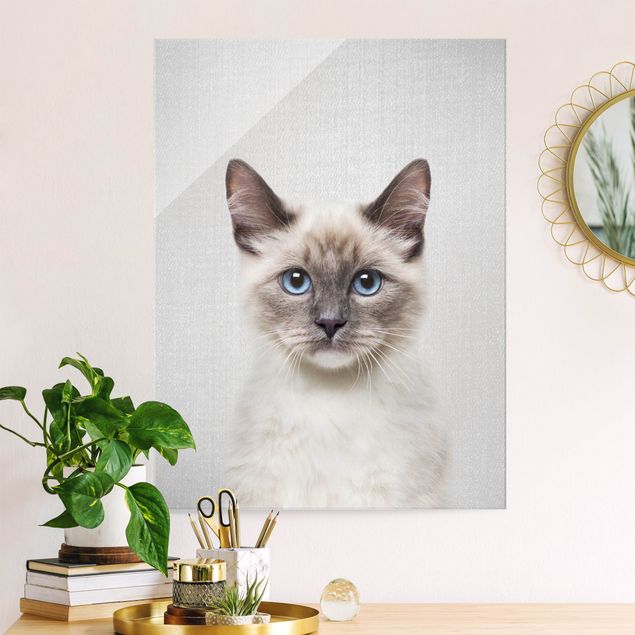 Glas Magnetboard Siamese Cat Sibylle