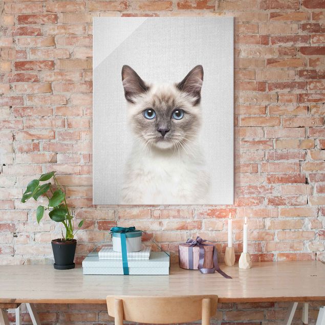 Glass print - Siamese Cat Sibylle