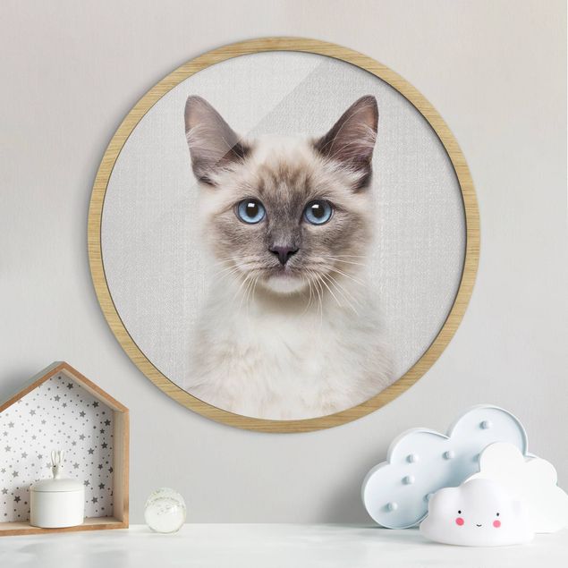 Framed prints round Siamese Cat Sibylle