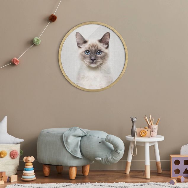 Circular framed print - Siamese Cat Sibylle