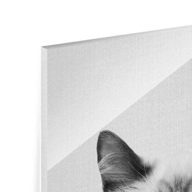 Glass print - Siamese Cat Sibylle Black And White