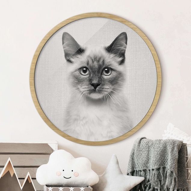 Framed prints round Siamese Cat Sibylle Black And White
