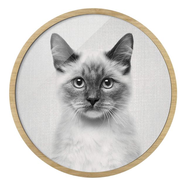 Circular framed print - Siamese Cat Sibylle Black And White
