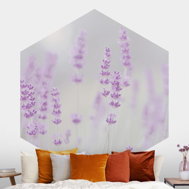 Self-adhesive hexagonal wall mural Summer In A Field Of Lavender
