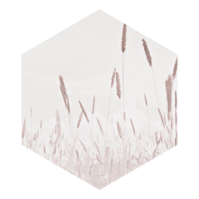 Self-adhesive hexagonal pattern wallpaper - Summerly Reed Grass