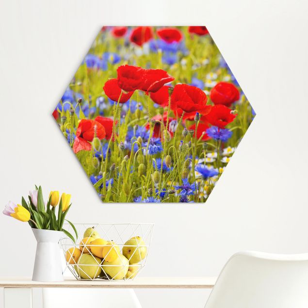 Alu dibond Summer Meadow With Poppies And Cornflowers