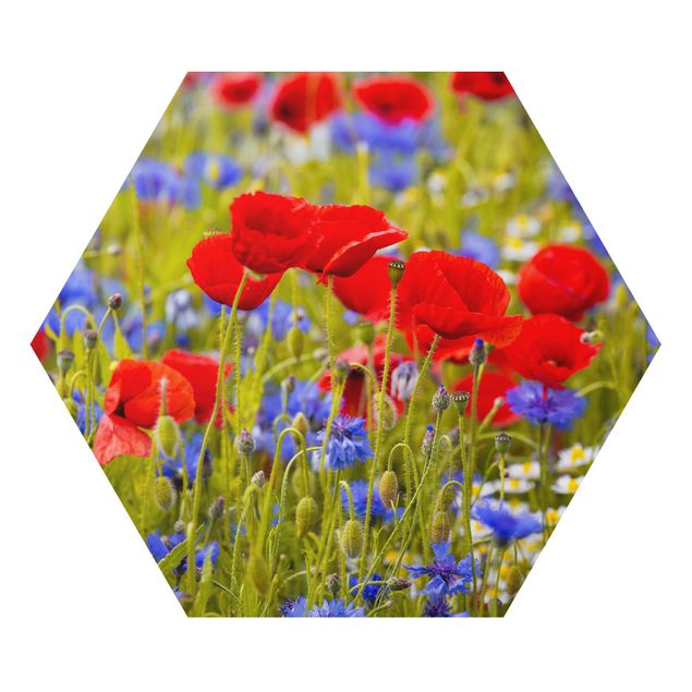 Alu-Dibond hexagon - Summer Meadow With Poppies And Cornflowers