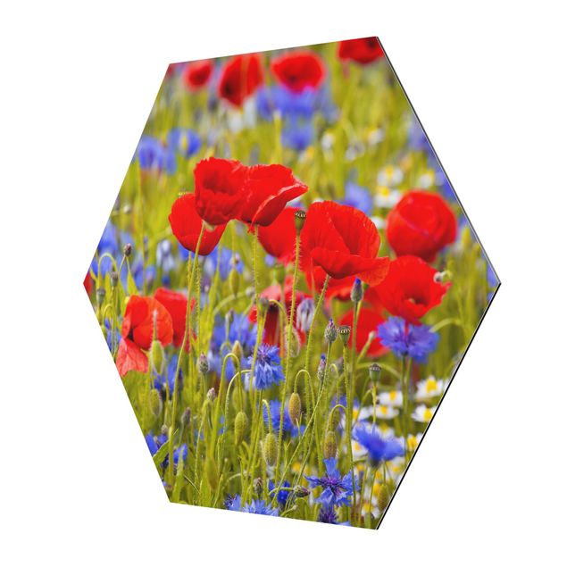 Alu-Dibond hexagon - Summer Meadow With Poppies And Cornflowers