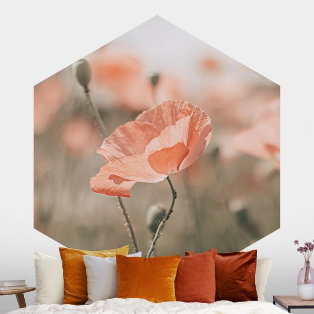 Hexagonal wallpapers Sun-Kissed Poppy Fields