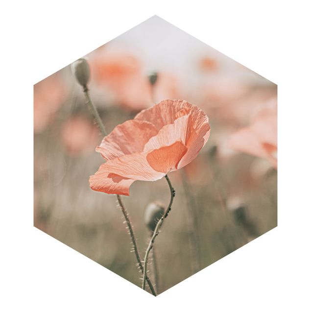Self-adhesive hexagonal pattern wallpaper - Sun-Kissed Poppy Fields