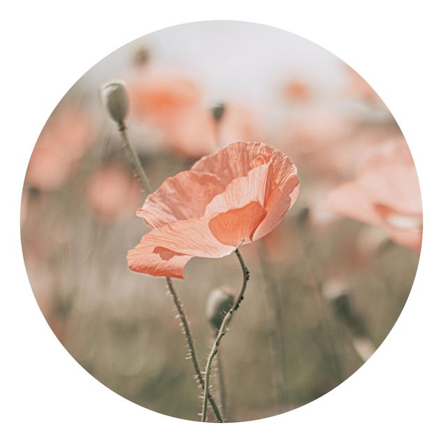 Self-adhesive round wallpaper - Sun-Kissed Poppy Fields