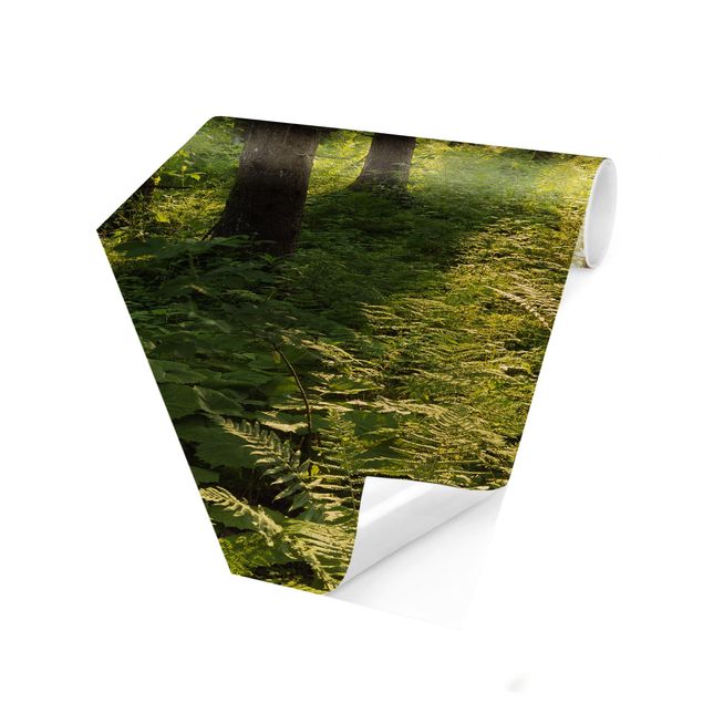 Self-adhesive hexagonal pattern wallpaper - Sun Rays In Green Forest