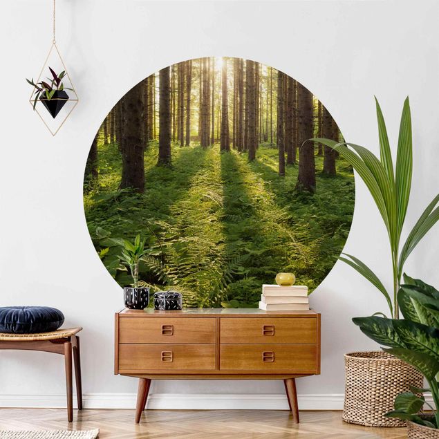 Self-adhesive round wallpaper forest - Sun Rays In Green Forest