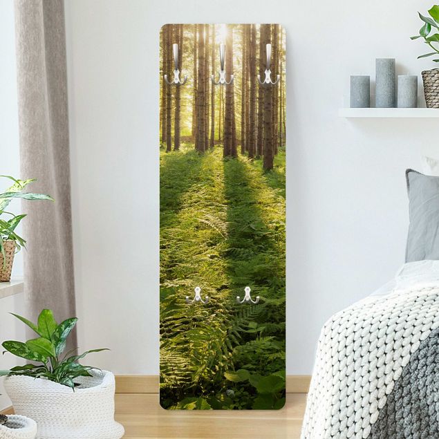 Coat rack - Sun Rays In Green Forest
