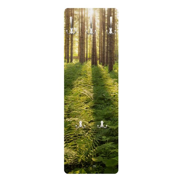 Coat rack - Sun Rays In Green Forest