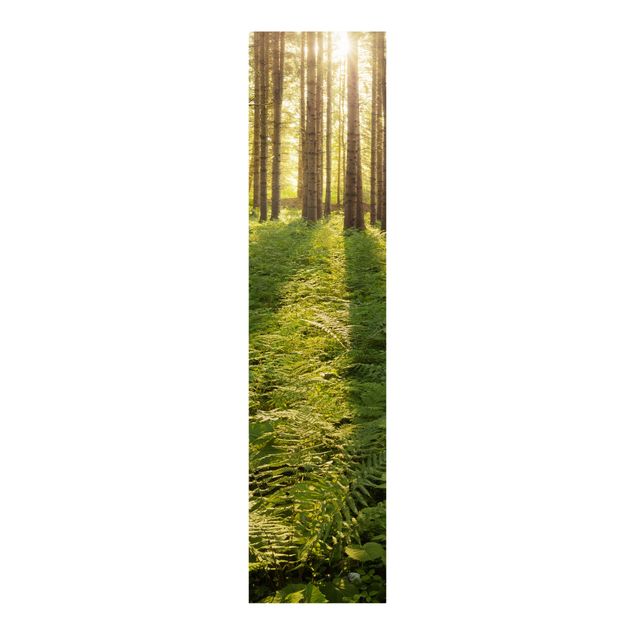Sliding panel curtains set - Sun Rays In Green Forest
