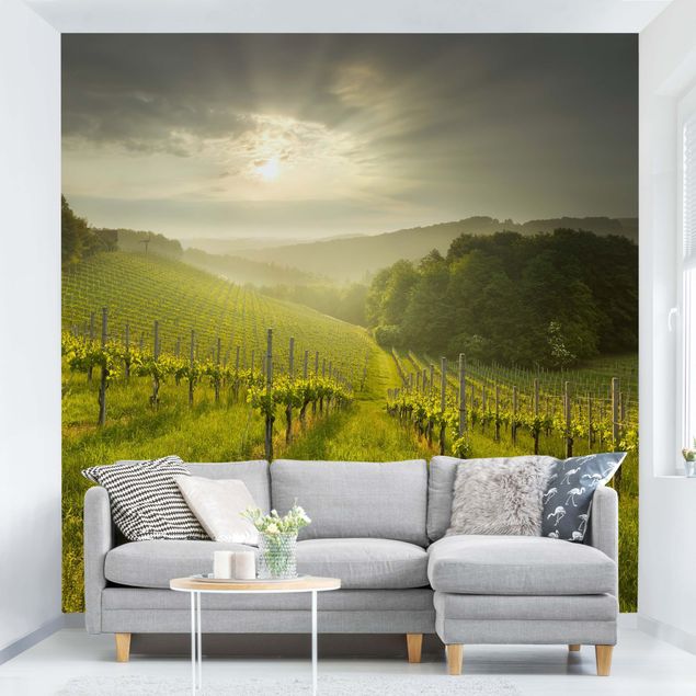 Wallpaper - Sunrays Vineyard