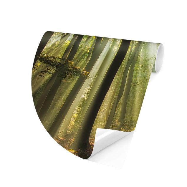 Self-adhesive round wallpaper forest - Sunny Day In The Forest