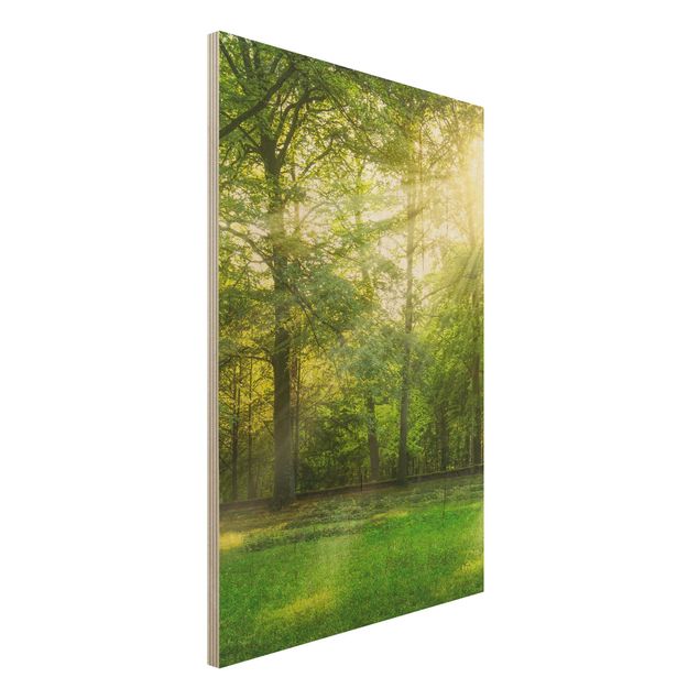 Wood print - Walk In The Woods