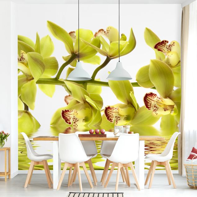 Wallpapers Splendid Orchid Waters