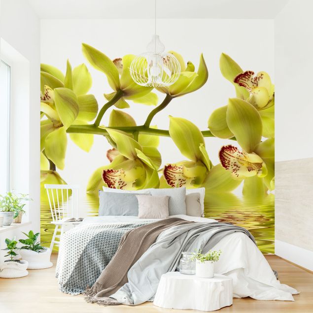 Wallpaper - Splendid Orchid Waters