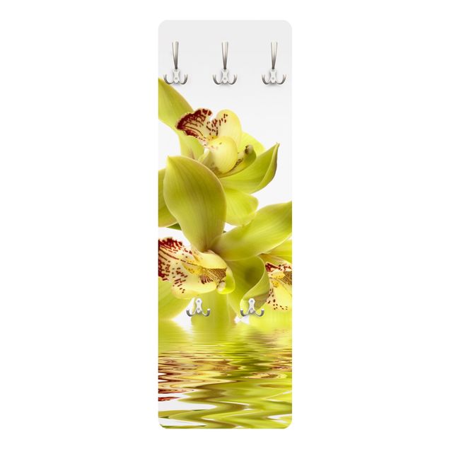 Coat rack - Splendid Orchid Waters