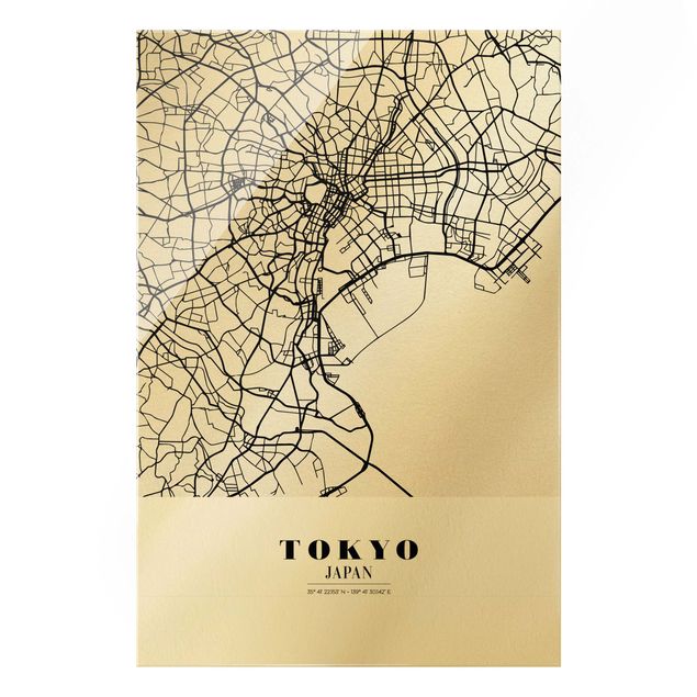 Glass print - Tokyo City Map - Classic - Portrait format