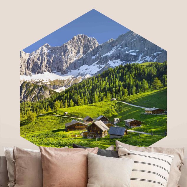 Wallpapers Styria Alpine Meadow