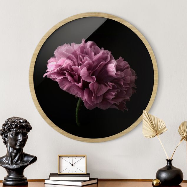 Framed prints round Proud Peony In Front Of Black