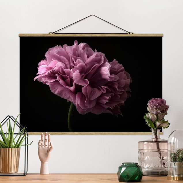 Fabric print with poster hangers - Proud Peony In Front Of Black - Landscape format 3:2