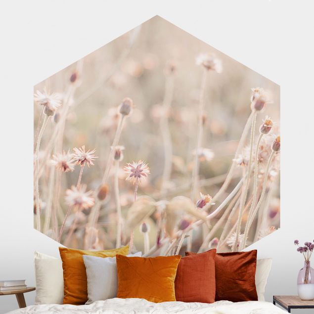 Hexagonal wallpapers Flowering Meadow In the Sun