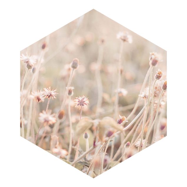 Self-adhesive hexagonal pattern wallpaper - Flowering Meadow In the Sun