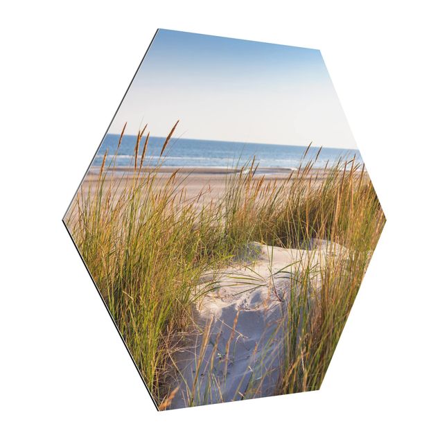 Alu-Dibond hexagon - Beach Dune At The Sea