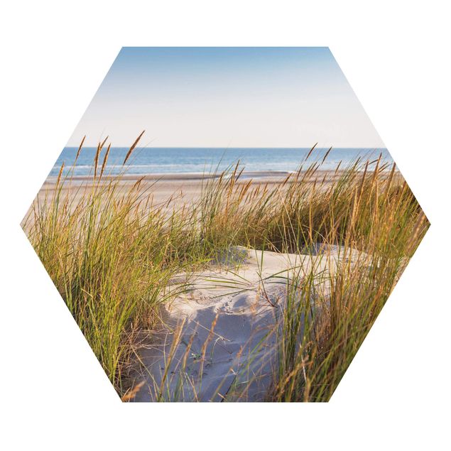 Alu-Dibond hexagon - Beach Dune At The Sea