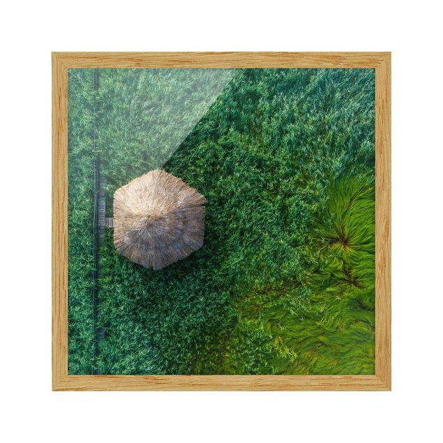 Framed poster - Straw Hut In High Reed