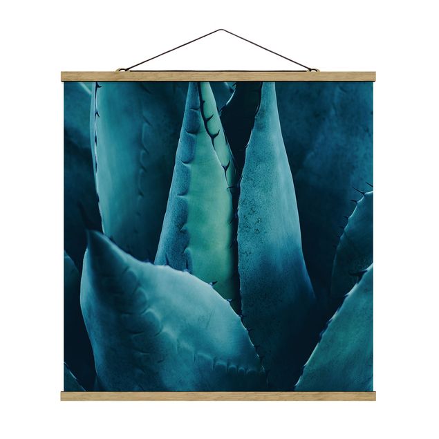 Fabric print with poster hangers - Succulent Plant Petrol - Square 1:1