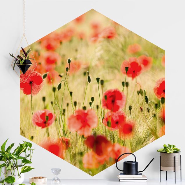 Hexagonal wall mural Summer Poppies