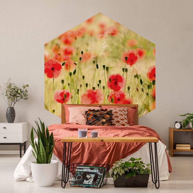 Self-adhesive hexagonal pattern wallpaper - Summer Poppies
