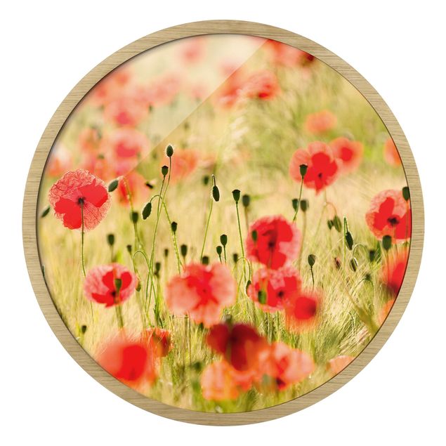 Circular framed print - Summer Poppies