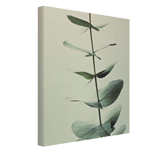 Natural canvas print - Symmetrical Eucalytus Twig - Portrait format 3:4