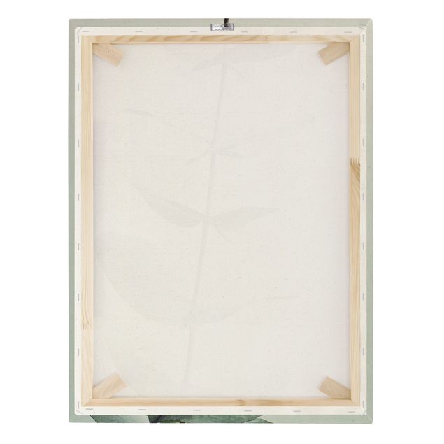 Natural canvas print - Symmetrical Eucalytus Twig - Portrait format 3:4