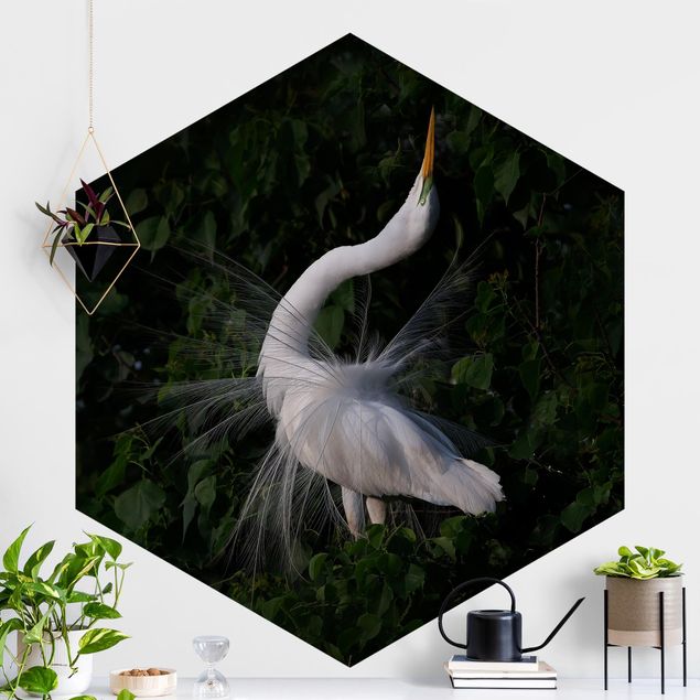 Self-adhesive hexagonal wall mural Dancing Egrets In Front Of Black
